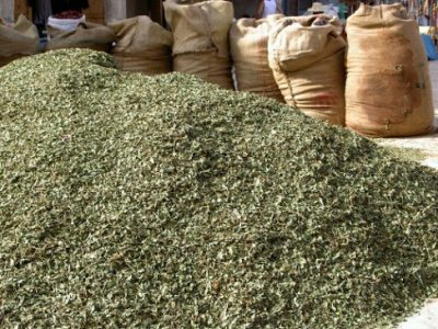 salon coiffure betton madame helene compostion couleur végétale 7